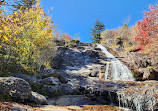 Graveyard Fields Loop Trail