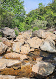 Graveyard Fields Loop Trail