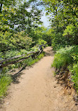 Graveyard Fields Loop Trail