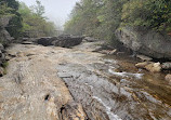 Graveyard Fields Loop Trail