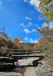 Graveyard Fields Loop Trail