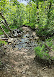 Graveyard Fields Loop Trail