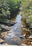 Graveyard Fields Loop Trail