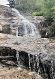 Graveyard Fields Loop Trail