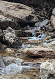 Graveyard Fields Loop Trail