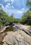 Graveyard Fields Loop Trail