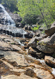 Graveyard Fields Loop Trail