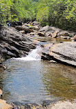 Graveyard Fields Loop Trail