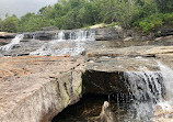 Graveyard Fields Loop Trail