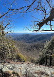 Mountain to Sea Trail