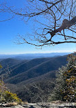 Mountain to Sea Trail