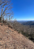 Mountain to Sea Trail