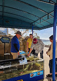 Birch Aquarium at Scripps Institution of Oceanography