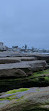 La Jolla Tide Pools