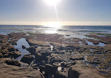 La Jolla Tide Pools