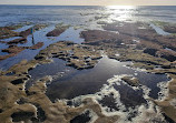 La Jolla Tide Pools