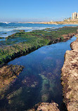 La Jolla Tide Pools