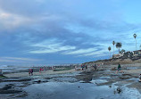 La Jolla Tide Pools