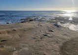 La Jolla Tide Pools