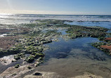 La Jolla Tide Pools