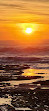 La Jolla Tide Pools