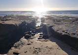 La Jolla Tide Pools