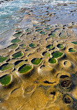 La Jolla Tide Pools