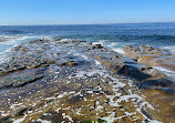 La Jolla Tide Pools