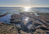 La Jolla Tide Pools