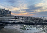 La Jolla Tide Pools