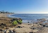 La Jolla Tide Pools