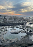 La Jolla Tide Pools