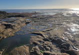 La Jolla Tide Pools