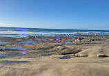 La Jolla Tide Pools