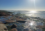 La Jolla Tide Pools