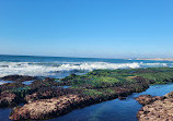 La Jolla Tide Pools