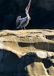 Seal Rock