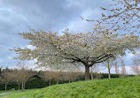 Carlow Town Park and Playground