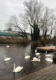 Carlow Town Park and Playground