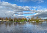 Carlow Town Park and Playground