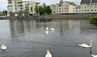 Carlow Town Park and Playground