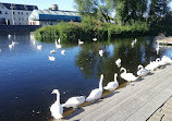 Carlow Town Park and Playground