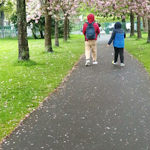 Herbert Park Playground