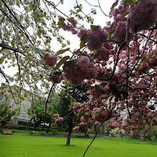 Herbert Park Playground