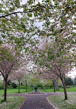 Herbert Park Playground