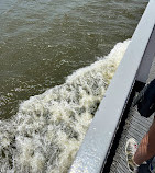 Ferry Manhattan