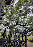 Jackson Square