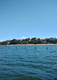 Shorncliffe Pier