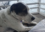 Shorncliffe Pier