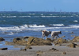 Shorncliffe Pier